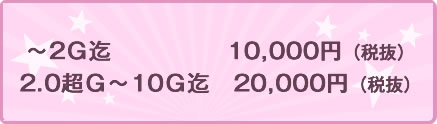 オプション料金 20G 10,000円から